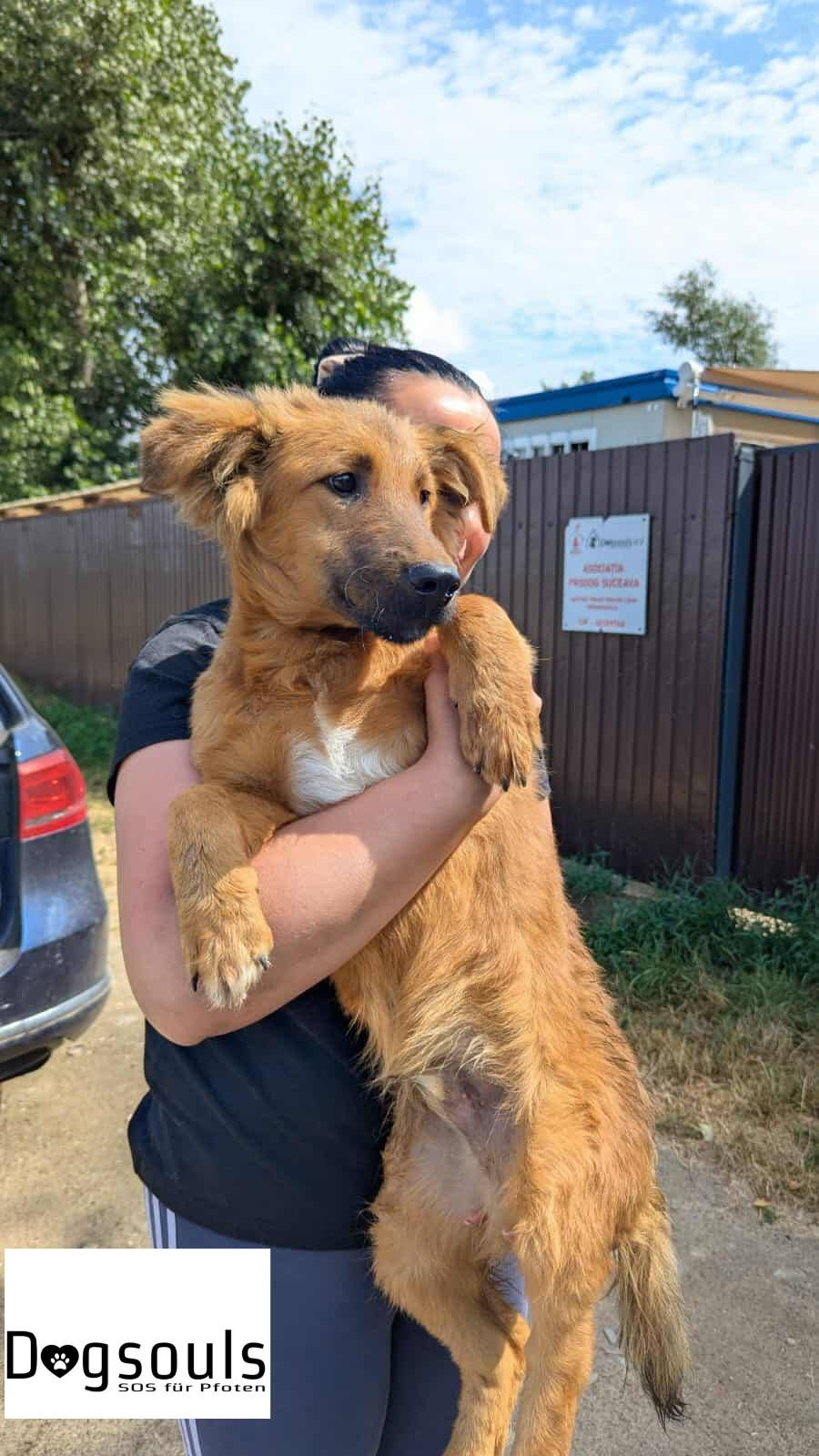 Reisetag Suceava 09.07.2025