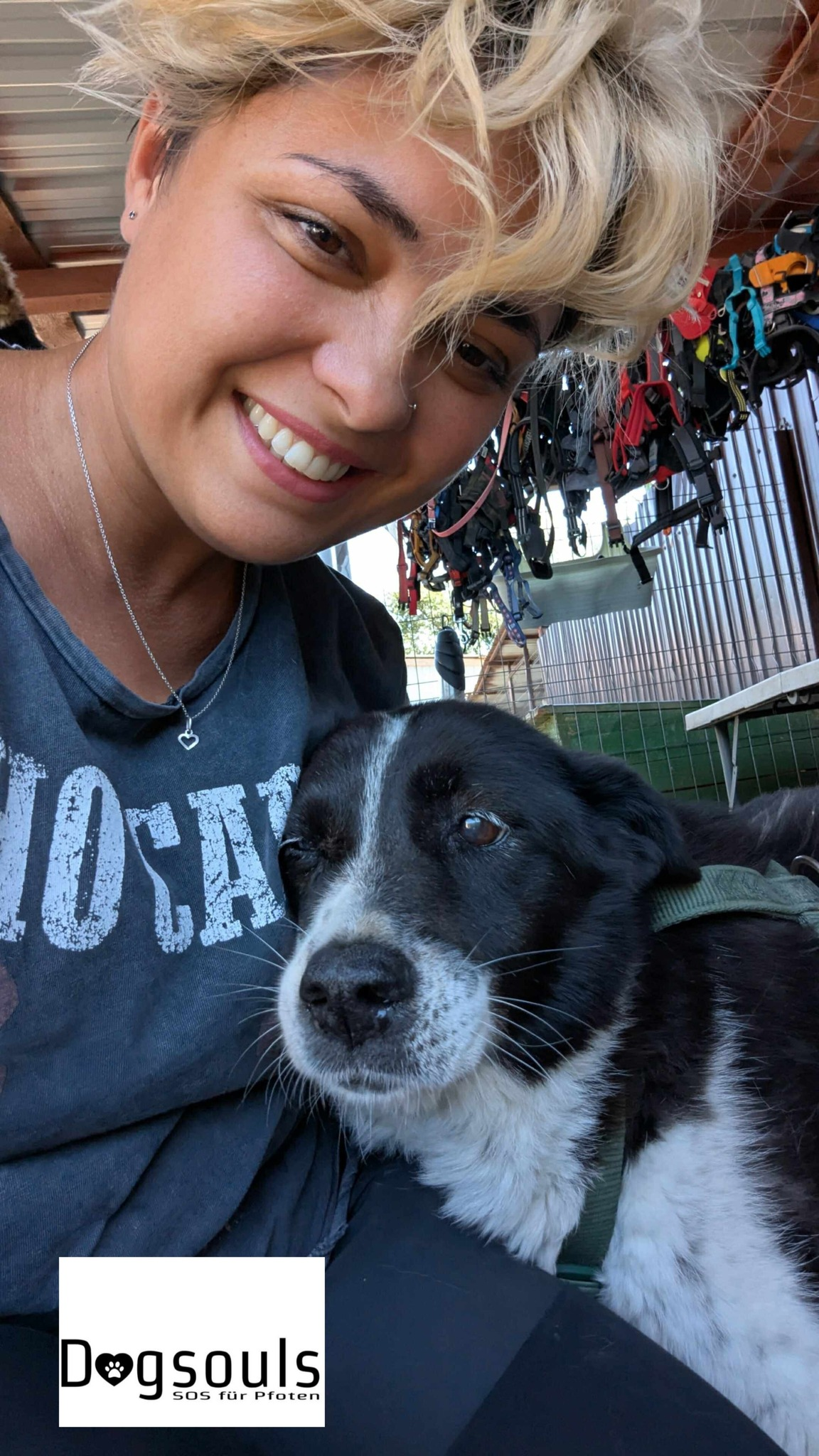 Reisetag Suceava 29.08.25